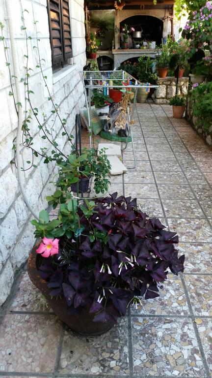 Guesthouse Ivona Dubrovník Pokoj fotografie