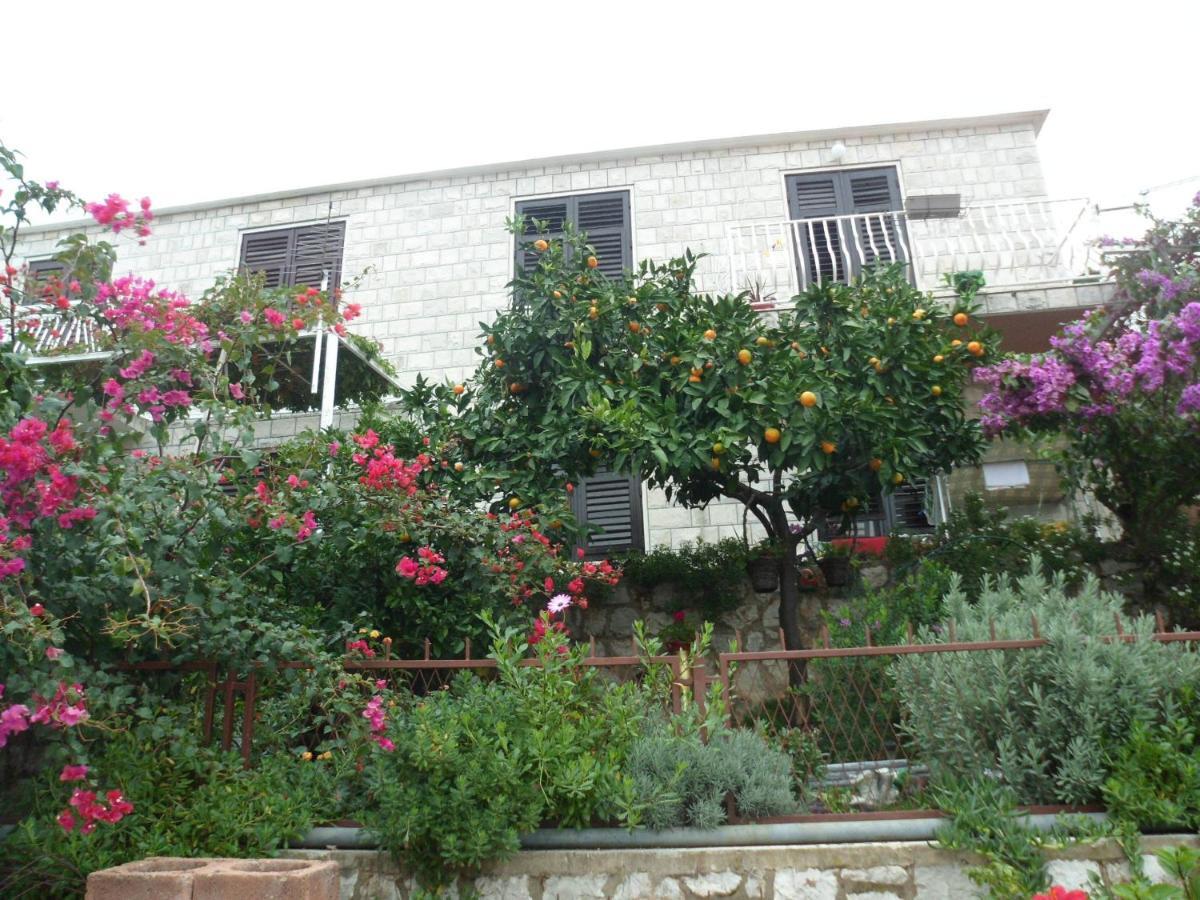 Guesthouse Ivona Dubrovník Pokoj fotografie